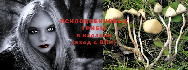 MESCALINE Белокуриха