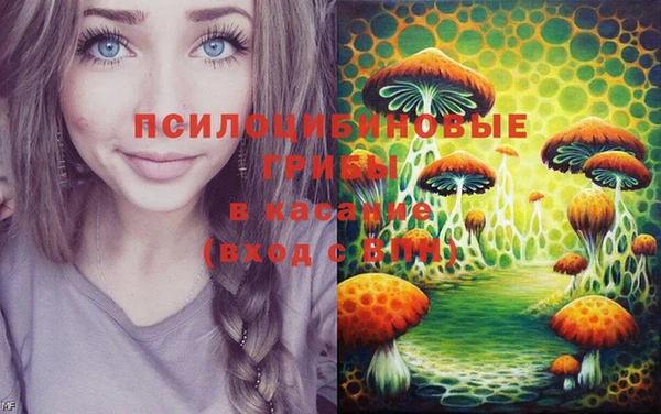 ешки Белоозёрский