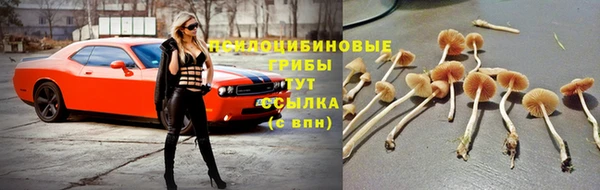 ешки Белоозёрский