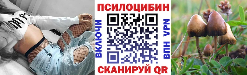 Галлюциногенные грибы GOLDEN TEACHER  Купить закладки  Озёры 